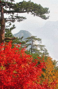 Mt. Huashan