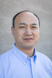 Professor Peter Willett